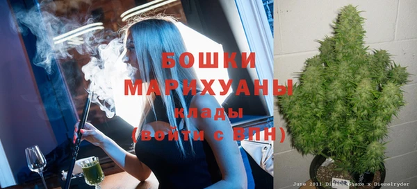 дмт Киреевск