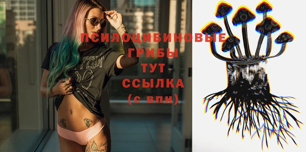 прущая мука Кинешма