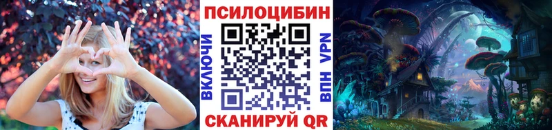 Купить  Ветлуга  Псилоцибиновые грибы прущие грибы 