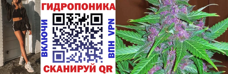 Купить  Ветлуга  Шишки марихуана THC 21% 